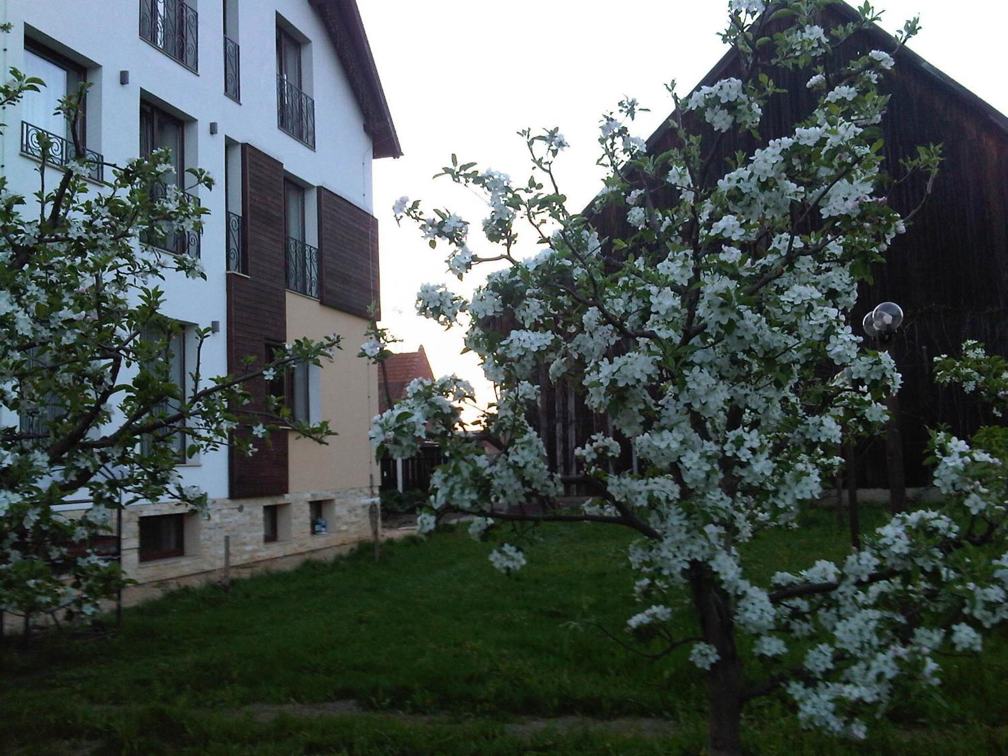Stupina Hotel Brasov Exterior photo